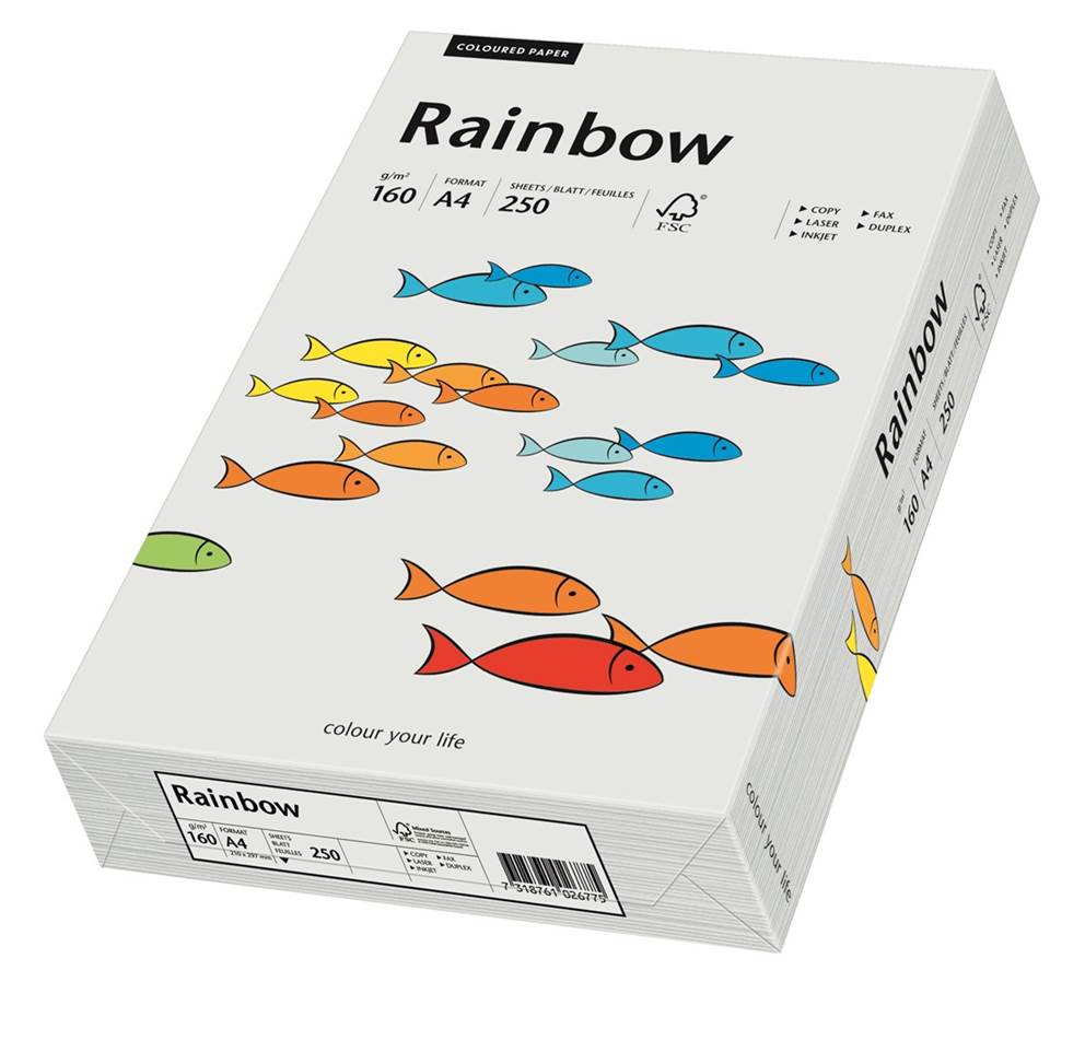 Papier ksero jasnoszary A4/160g 250 arkuszy Rainbow