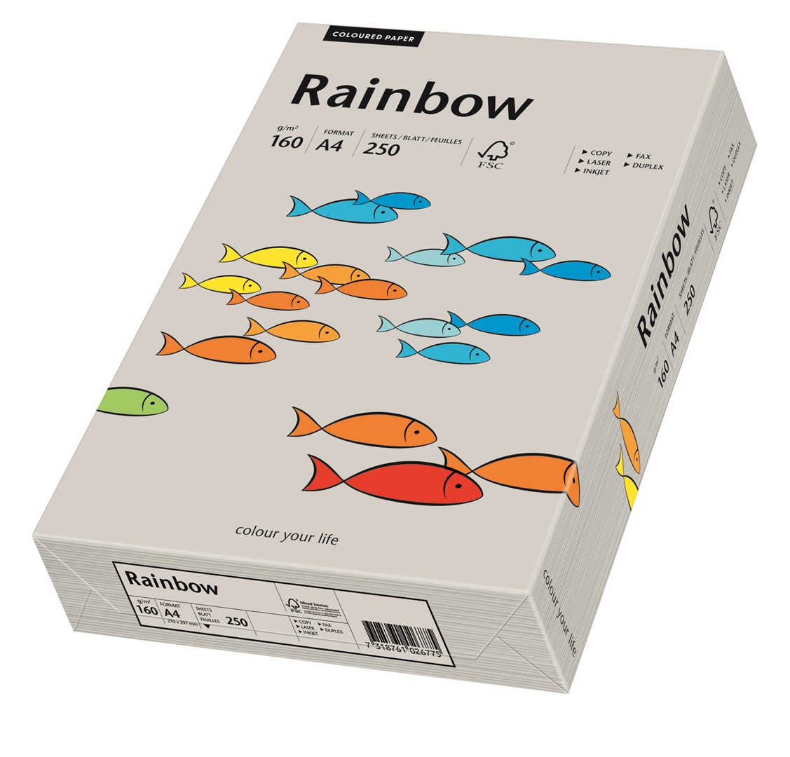 Papier ksero szary A4/160g 250 arkuszy Rainbow